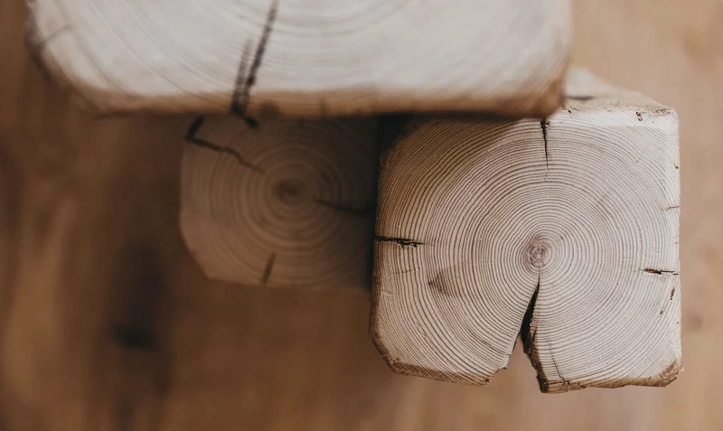 Alles aus Holz im Molzbachhof