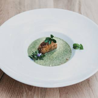 Fein angerichtete Vorspeise mit grüner Kräutercreme, knuspriger Einlage und frischen Kräutern auf weißem Teller.