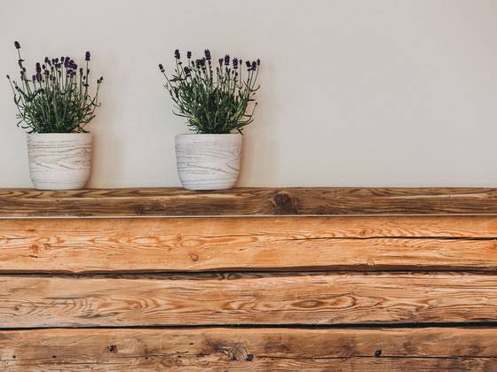 Blumen im Wellnessbereich des Molzbachhof