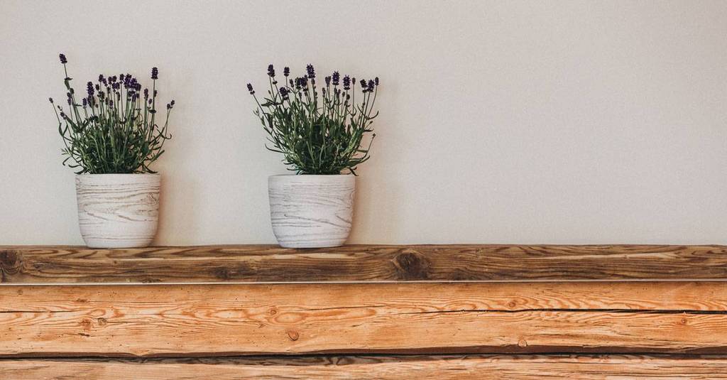 Blumen im Wellnessbereich des Molzbachhof