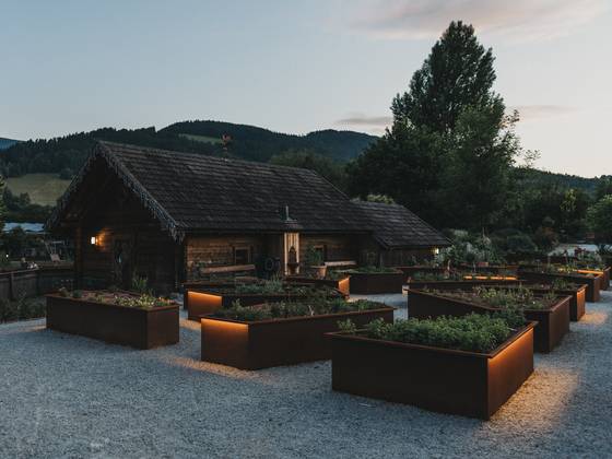 Hochbeete im Paradiesgart'l am Abend im Naturhotel Molzbachof (c) Paul.
