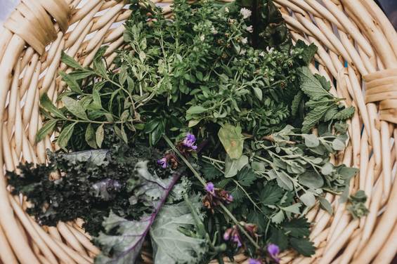 Frische Kräuter aus dem Garten im Molzbachhof