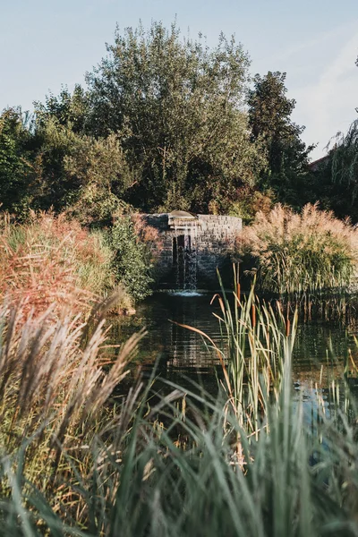 Das Paradiesgart'l verfärbt langsam seine Blätter